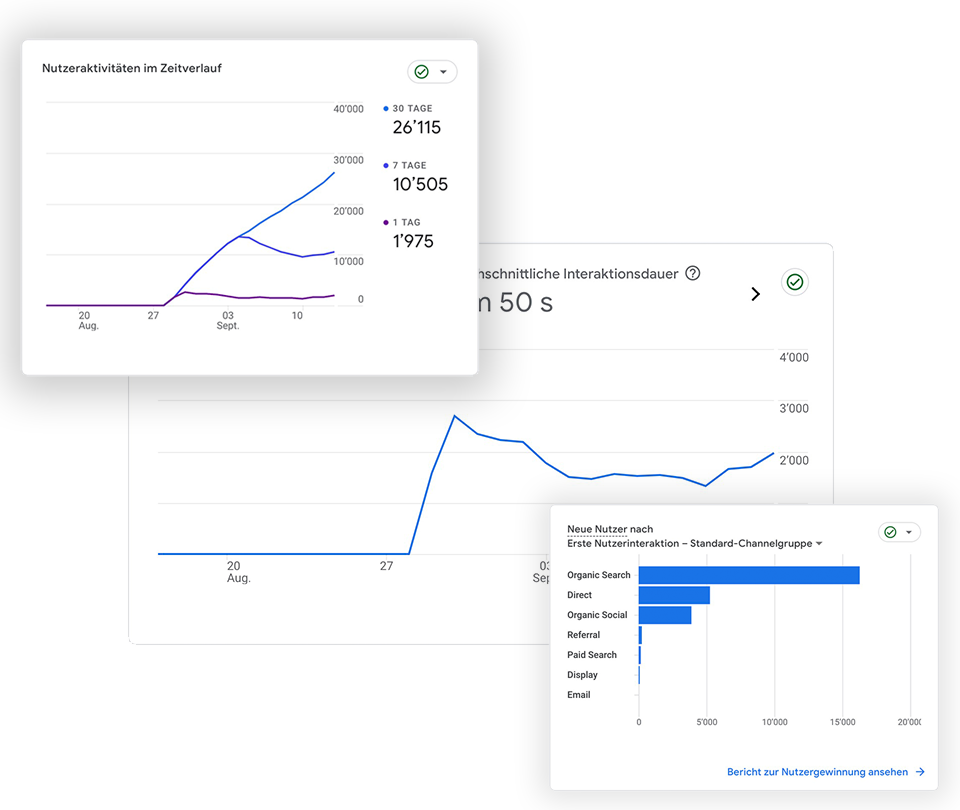 WordPress SEO Schweiz